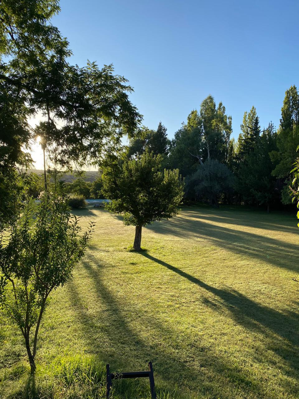 WhatsApp Image 2025-11-17 at 2.56.42 PM (2)