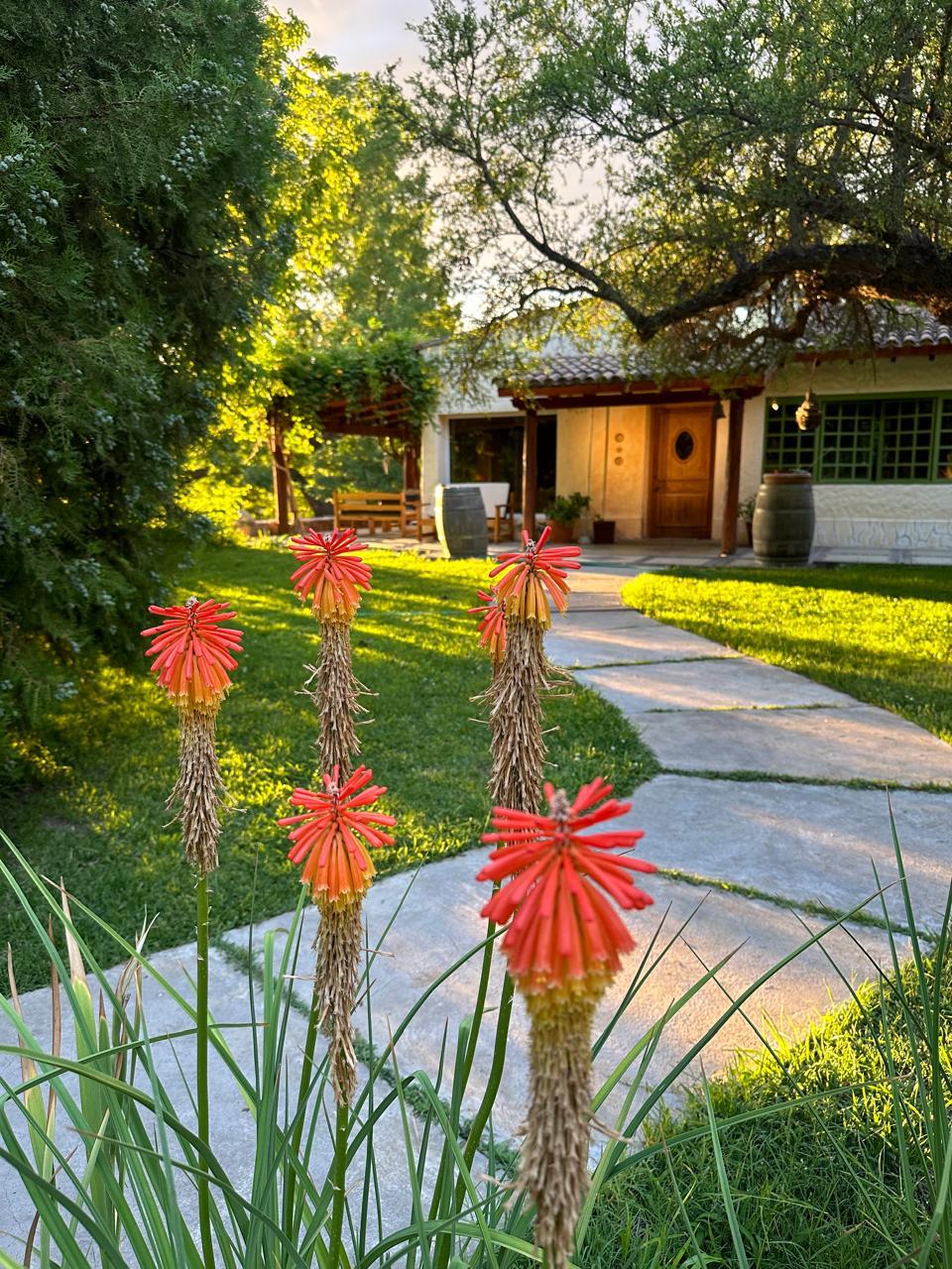 WhatsApp Image 2025-11-17 at 2.56.45 PM